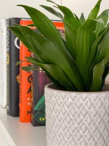 的住宿－Studio in Reading，银花瓶中的植物,坐在架子上