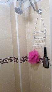 eine Dusche mit einer rosa Blume und einem Haartrockner in der Unterkunft Casa Lopez Camarena Arandas Jalisco in Arandas