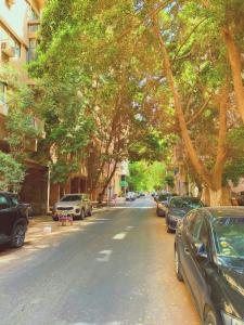 een straat met auto's geparkeerd aan de zijkant van een met bomen omzoomde straat bij Zamalek Vintage Gem in Caïro