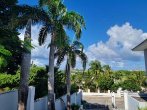 O grădină în afara Studio Apartment Volterra Curacao