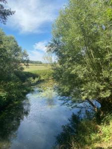 a river with trees on the side of it at appartement in Beaupont