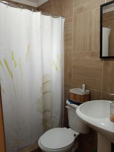 łazienka z toaletą, umywalką i zasłoną prysznicową w obiekcie S&J Casa Cabaña w mieście El Tabo