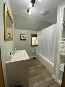 a bathroom with a sink and a shower and a tub at ENTIRE 2-BEDROOM TOWNHOUSE ON a RUSTIC FARM - C in Arkona +27 photos