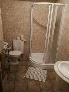 een badkamer met een douche, een toilet en een wastafel bij Vila Barrandov in Praag