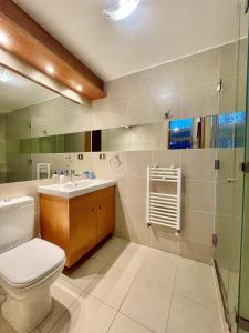 y baño con aseo, lavabo y ducha. en Loft Andalue · Espectacular Loft en Andalué, en San Pedro de la Paz