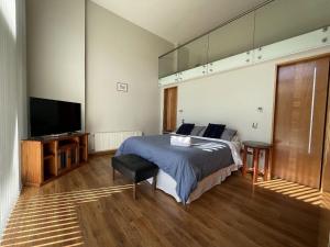 1 dormitorio con 1 cama y TV de pantalla plana en Loft Andalue · Espectacular Loft en Andalué, en San Pedro de la Paz