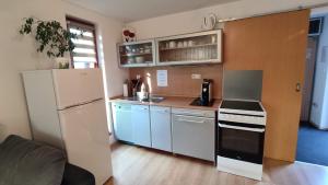 a kitchen with a refrigerator and a stove top oven at Rodinný Apartmán Adléta in Horní Bečva