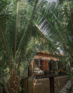 una palmera frente a una casa en Casa Selva Sayulita en Sayulita