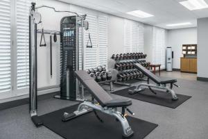 a gym with two tread machines and weights at Hampton Inn & Suites Tampa Ybor City Downtown in Tampa
