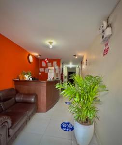 a lobby of a hospital with a couch and a counter at Hotel Palmas Reales in Trujillo