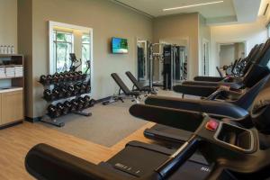 Fitness centrum a/nebo fitness zařízení v ubytování Hilton Miami Dadeland