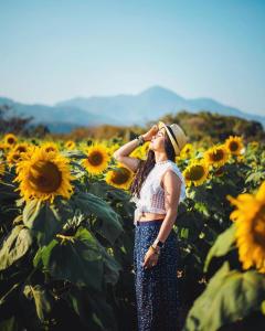 a woman standing in a field of sunflowers at Casa Diversa in Esquipulas