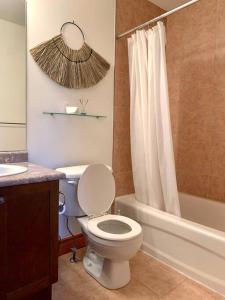 ein Bad mit einem WC, einem Waschbecken und einer Dusche in der Unterkunft Beautiful Cottage at The Blue Mountain in Blue Mountains