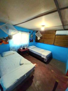 2 letti in una camera con pareti blu di Bedrooms where Charlie a El Paredón Buena Vista