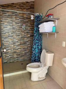 ein Bad mit einem WC und einer Dusche in der Unterkunft Beautiful Mountin Cabin/Pool/FirePit/Wifi/Parking in Monterrey