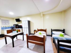 TV a/nebo společenská místnost v ubytování B&J Guesthouse and Tours