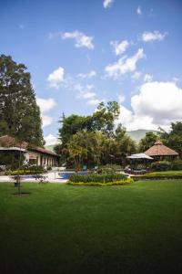 un parque con césped verde y sombrillas y un edificio en Hotel Real Plaza, en Antigua Guatemala