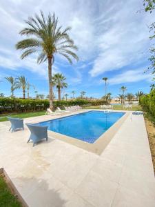 a swimming pool with chairs and a palm tree at فيلا للايجار مارينا 5 الساحل الشمالي in El Alamein