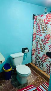 a bathroom with a toilet and a shower curtain at Hotel Cabinas Mar Y Cielo in Montezuma