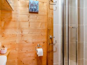 W łazience znajduje się kabina prysznicowa i toaleta. w obiekcie The Summer House - Uk45102 w mieście Hoel-galed
