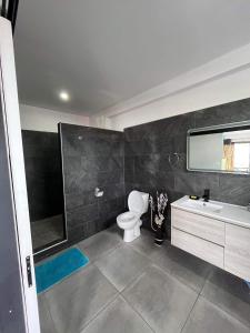 普納奧亞的住宿－2 accomodations -Studio du Manoir -Le Manoir，一间带卫生间、水槽和镜子的浴室
