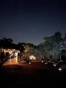 a night time view of a building with trees and lights at The Juniper Ranch and Retreat in Canyon Lake