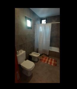 a bathroom with a toilet and a shower and a sink at Reposo entre Montañas in Volcán +21 photos