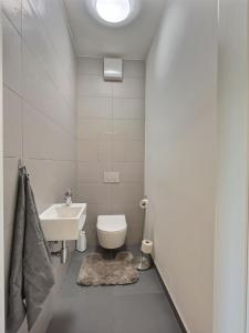 a bathroom with a white toilet and a sink at FREE 2X parking and free Wifi NEW Suncatcher apartment in Bratislava