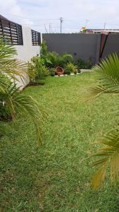 un patio con césped verde y palmeras junto a una casa en Modern Family House with 2 bedrooms + Free Parking, en Ashaiman