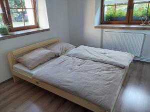 a bed in a bedroom with two pillows on it at Noclegi i sauna w starym domu in Pławnica