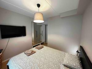 TV a/nebo společenská místnost v ubytování 3 bedroom apartment in Kalamaja with free parking and balcony