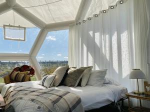 a bedroom with a bed and a large window at Coonawarra Hampton Bubble 1 in Glenroy +9 photos