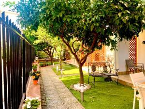 un piccolo giardino con un albero e una recinzione di Dimora Leone a Diamante