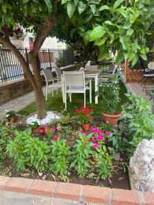 un giardino con tavoli e sedie sotto un albero di Dimora Leone a Diamante