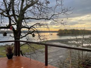 a tree on a deck with a view of the water at Columbia River Cliff House in Saint Helens