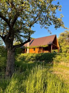 a barn on a hill with a tree in the foreground at Woźniówka pod Mogielicą in Słopnice