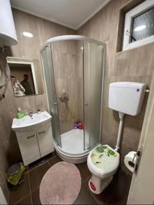 a bathroom with a shower and a toilet and a sink at Alex Lodge in Zrenjanin