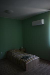 a green room with a bed in the corner at Apartment Airport Sofia in Sofia