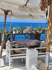 Naturlandskabet i nærheden af lejligheden