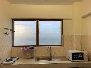 encimera de cocina con microondas y ventana en Cozy One Bedroom Apartment near KNUST & CCC, en Kumasi
