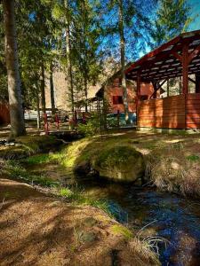 a wooden cabin next to a river in a forest at Riksberg Chalet in Harghita Mountains in Vărşag