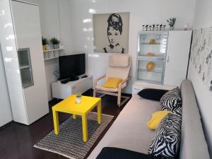 Televízia a/alebo spoločenská miestnosť v ubytovaní Zagreb Creative Apartments APP 2