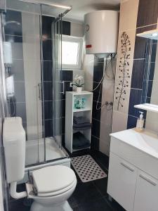 een badkamer met een douche, een toilet en een wastafel bij Zagreb Creative Apartments APP 2 in Zagreb
