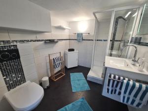 a small bathroom with a toilet and a sink at Gästehaus Andrea in Hahnenklee-Bockswiese +34 photos