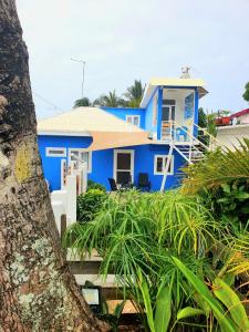 una casa azul con un árbol delante en Casa Frangipani Mauritius, en Trou d'Eau Douce