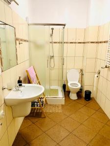 a bathroom with a shower and a sink and a toilet at Happy House Hostel in Poznań