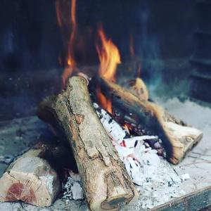 un fuego con algunos troncos y llamas en Harry's Place Guesthouse, en Kamieskroon