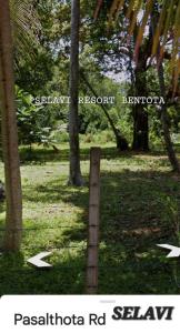 Foto sihtkohas Bentota asuva majutusasutuse Selavi Resort Bentota galeriist