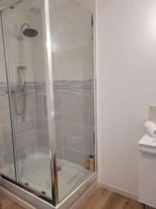 een douche met een glazen deur in de badkamer bij Petit Cocon - Dormir Comme A La Maison 