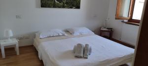 Fotografie z fotogalerie ubytování APPARTAMENTO PAOLA v Udine